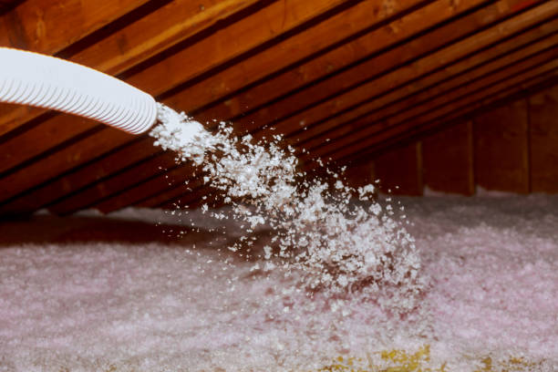 Best Blown-In Insulation  in Aurora, IL