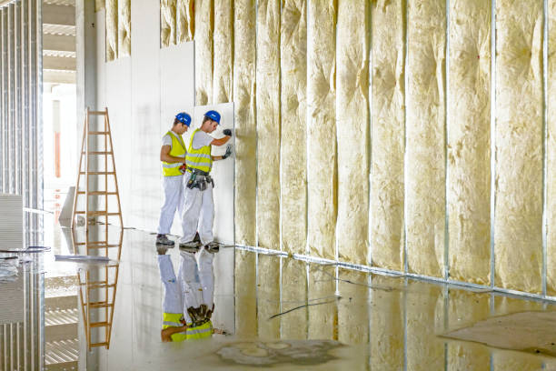 Best Commercial Insulation Services  in Aurora, IL